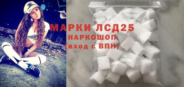 индика Пересвет