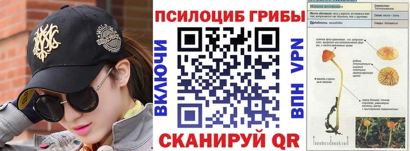 Галлюциногенные грибы Psilocybine cubensis  наркота  Яранск 